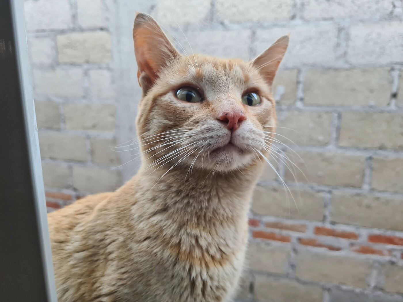 El Niño