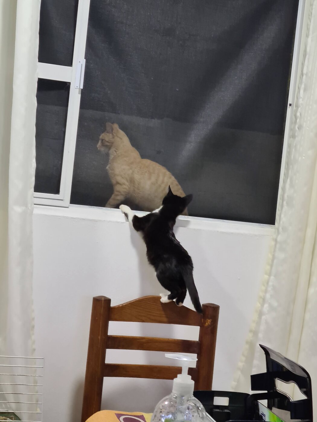 El Niño afuera de la ventana y Keiko asomándose desde adentro