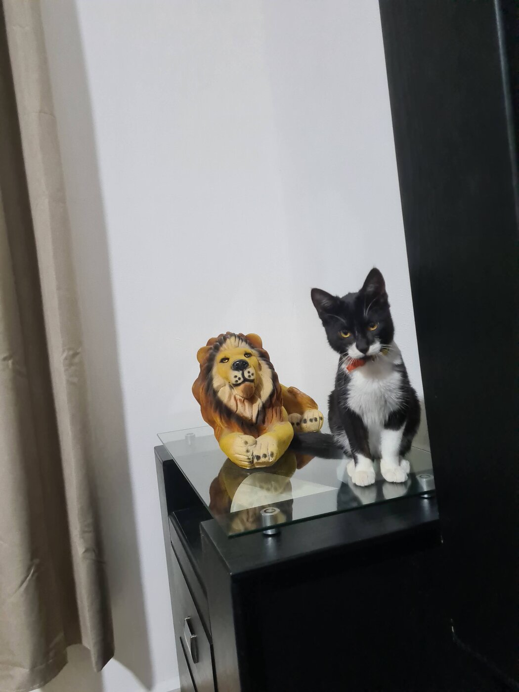 Keiko de pequeño junto a la figura del león