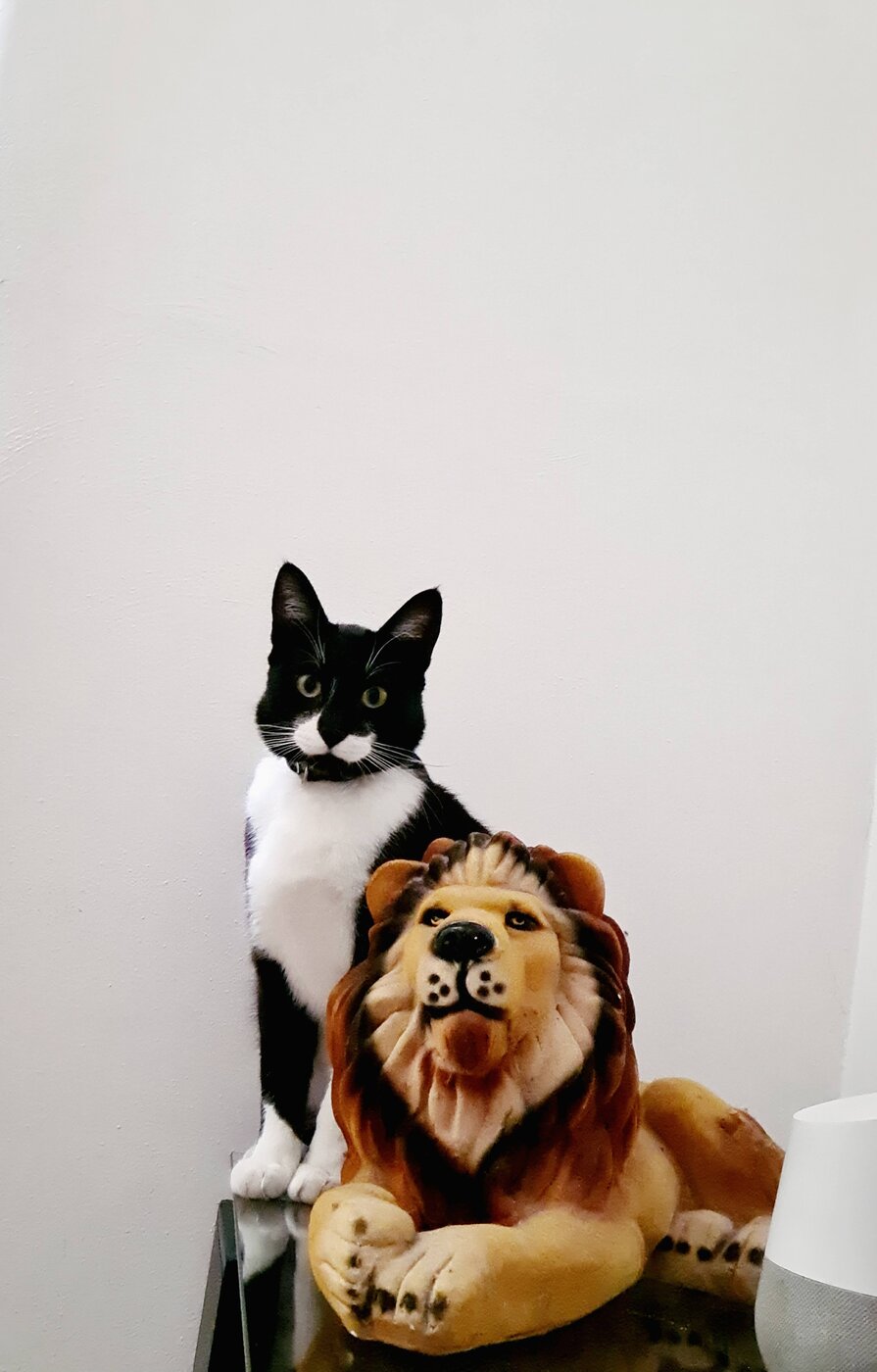 Keiko ya grande junto a la figura del león, inspiración del logo