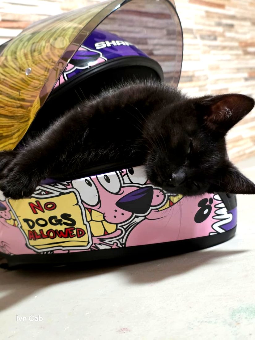 El negrito en su camita